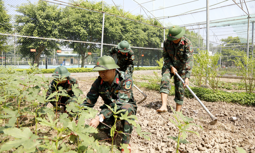  Tăng gia sản xuất, bảo đảm nguồn cung thực phẩm tại chỗ